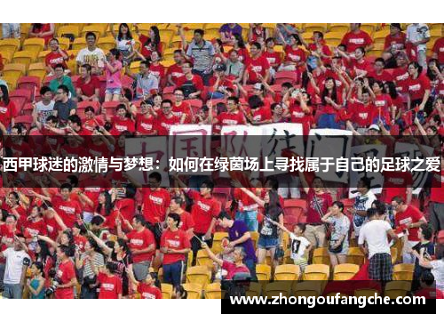 西甲球迷的激情与梦想：如何在绿茵场上寻找属于自己的足球之爱